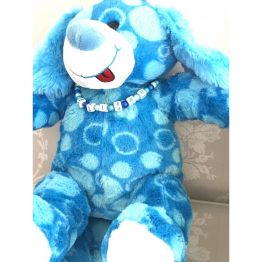 personalised-blue-dog-teddy-kit