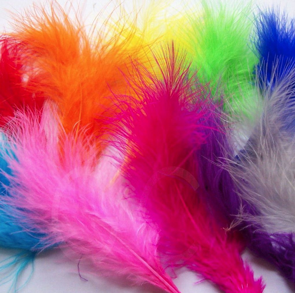 feathers colour